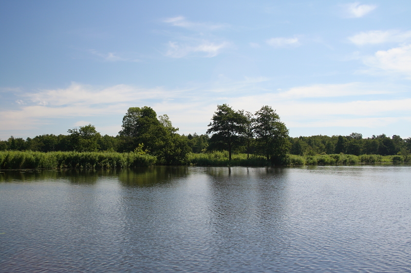 Killikus® Fotographie Killikus® Fotographie